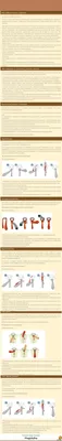 Как завязать галстук пошагово: фото, способы, узлы и простая инструкция