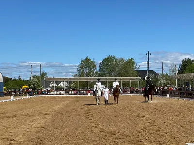 Сегодня лето, завтра лето, послезавтра лето💛⛱️! А летом можно позволить  себе все😉. Сделайте приятное! Закажите себе цветы из нашей новой… |  Instagram