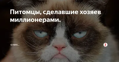 Завтра выхожу на работу после отпуска 🙈... - Alenkiicvetochek | Facebook