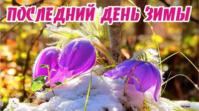 Завтра Весна! :: ТАТЬЯНА (tatik) – Социальная сеть ФотоКто