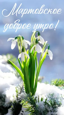 Последний день зимы — красивые поздравления и открытки, какой праздник 28  февраля 2022 года / NV