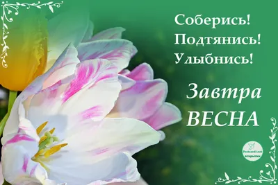 Завтра весна