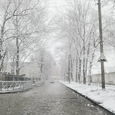 А завтра зима.... Фотограф Ковалева Светлана