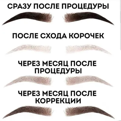 Изображение заживающих бровей после татуажа с подсказками по выбору цвета красителя