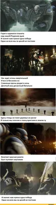 Здесь птицы не поют