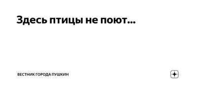 Здесь птицы не поют…». Театр «Недослов» | Добрый дом «Куровской»