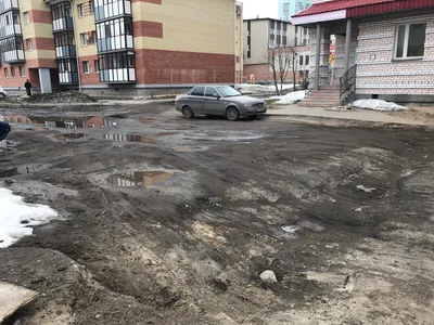 Здесь птицы не поют...