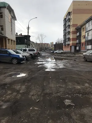 Здесь птицы не поют