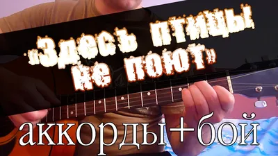 Здесь птицы не поют... | Вестник города Пушкин | Дзен