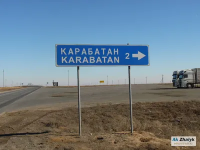 Здесь птицы не поют...