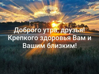 Доброе утро! Здоровья вам и вашим семьям! в 2023 г | Здоровье, Доброе утро,  Семена