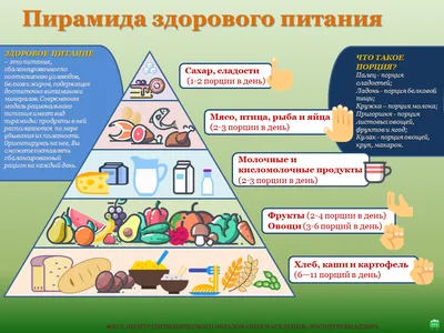 Особенности питания детей и подростков | Проект Роспотребнадзора «Здоровое  питание»