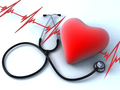 Здоровое сердце - залог длительной и счастливой жизни! - Ваш ВРАЧ – центр  семейной медицины