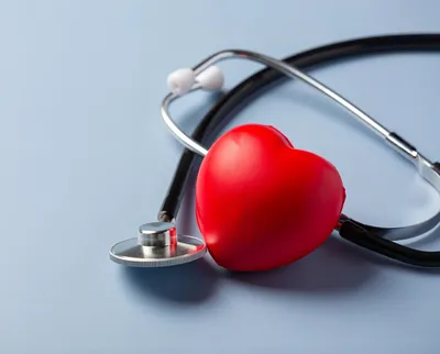 Здоровое сердце с мышцами, Иллюстрация вектора - иллюстрации насчитывающей  долговечность, мышца: 175894822