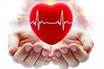 Здоровое сердце» — создано в Шедевруме