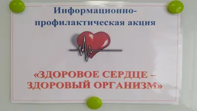 Здоровое Сердце Внутренний Человеческий Орган Иллюстрация — стоковая  векторная графика и другие изображения на тему Сердце человека - iStock