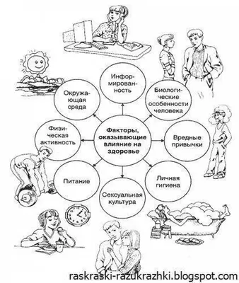 Раскраски Здоровый образ жизни для детей картинки (38 шт.) - скачать или  распечатать бесплатно #5749
