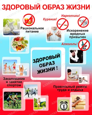 Семья и здоровый образ жизни