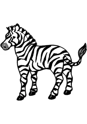 зоопарки zebra для детей иллюстрация вектора. иллюстрации насчитывающей  природа - 254516189