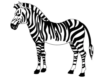 раскраски для детей, детские раскраски для творчества | Zebra coloring  pages, Unicorn coloring pages, Animal coloring pages