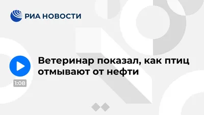 Производство сувенирной продукции с символикой городов оптом артикул 29083  – Фабрика Сувениров FlyFF