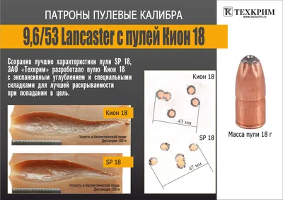 9.6х53 Ланкастер глазами владельца : пулевая стрельба из гладкоствольн