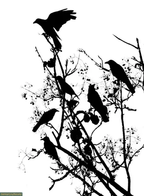 Зеленая хрень на картинке в игре птица говорун фотографии