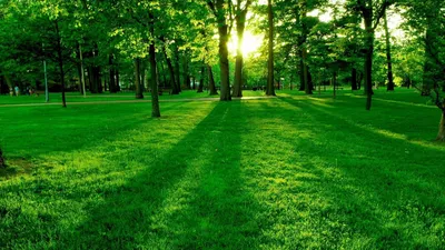 Green Park Wallpapers - Wallpaper Cave