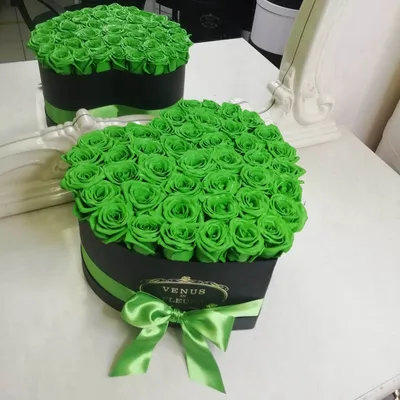 Зеленые розы в сердце за 9 890 руб. | Бесплатная доставка цветов по Москве