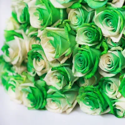 Изумрудные и зеленые розы в бархатной коробочке под заказ Стабилизированные  розы- это натуральные розы которые в результате специ… | Флористика, Цветы,  Зеленая роза