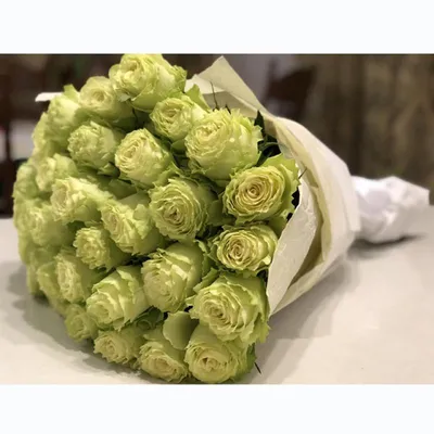 Зеленые розы - что это? * Интернет-магазин Flowers Country - цветы с  доставкой