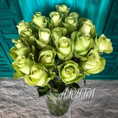 35 зеленых роз – розы с доставкой по Москве и Московской области