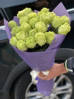 Яркие зелёные розы в букете Стоковое Фото - изображение насчитывающей  травянисто, кровопролитное: 165067094