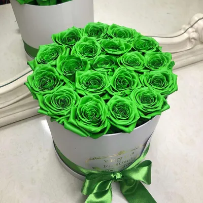 Зеленые розы в коробке - 19 шт за 6 390 руб. | Бесплатная доставка цветов  по Москве