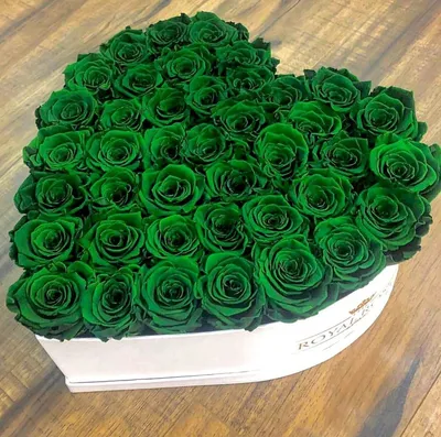 23 зеленые розы «Васаби» – розы с доставкой по Москве и Московской области