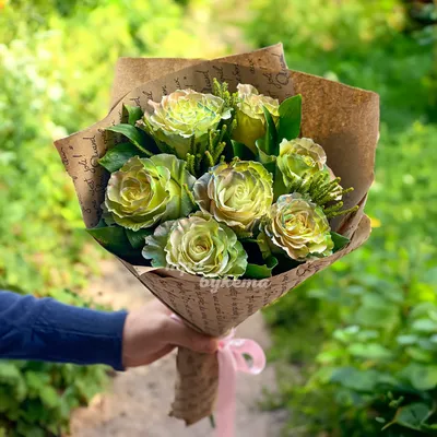 зеленые розы стоковое фото. изображение насчитывающей печать - 122497306