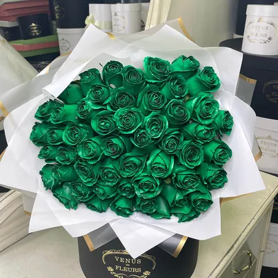 Зеленые розы картинки фотографии
