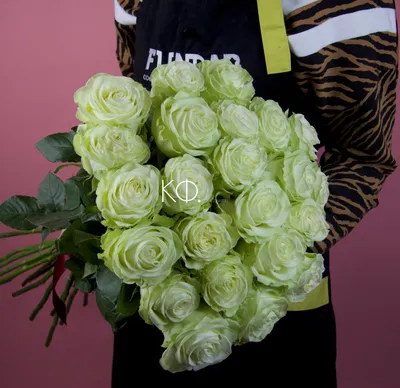 Букет из зеленых роз – купить с доставкой в Москве. Цена ниже!