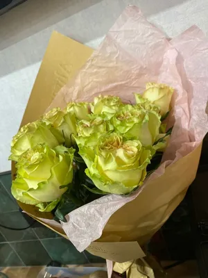Красивые зеленые розы на сером фоне :: Стоковая фотография :: Pixel-Shot  Studio