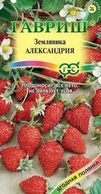 ✓ Семена Земляника Александрия, ремонтантная, 0,03г, Гавриш, Ягодная  полянка по цене 30 руб. ◈ Большой выбор ◈ Купить по всей России ✓  Интернет-магазин Гавриш ☎ 8-495-902-77-18