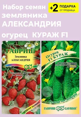 Отзыв о Семена земляники ремонтантной Гавриш \"Александрия\" |  Непревзойденный сорт земляники.