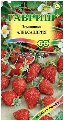 Земляника и клубника Семена Алтая 57707Н - купить по выгодным ценам в  интернет-магазине OZON (200834593)