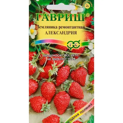 Земляника Александрия 0,03 г - Гарден Зоо - товары для сада и огорода,  загородного дома и дачи 2024 выбрать и купить с доставкой