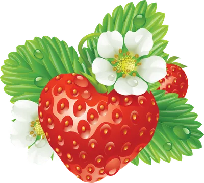 Strawberry Clip Art PNG Transparent Background, Free Download #22967 -  FreeIconsPNG