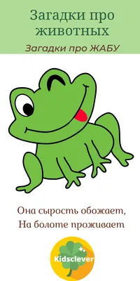 Различия между жабой и лягушкой 🐸 | Я знал | Дзен