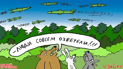 Юмор от подписчиков - смешные картинки и анекдоты | Бросаем пить вместе |  Дзен