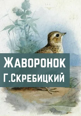 Жаворонок: Предаёт сородичей и своих партнёров, просыпается ночью, а не  утром. Чем ещё может удивить знакомый пернатый? | Книга животных | Дзен