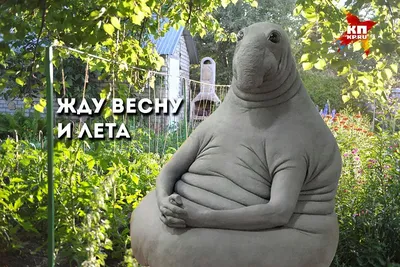 В России сделали скульптуру Ждуна из навоза - Опубликовано фото - Апостроф