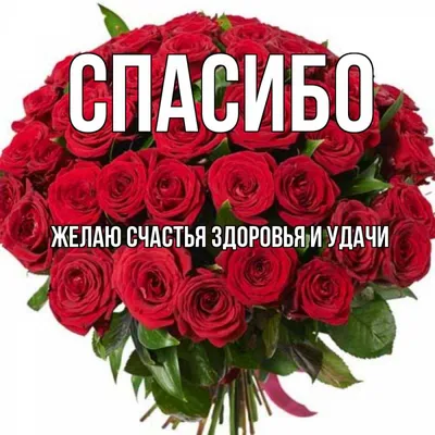 желаюудачи #наэкзаменах #экзамены #открыткикаждыйдень | TikTok