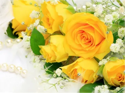 0_1a78d4_cba30abd_orig (900×800) | Цветы день рождения, Желтые розы, С днем  рождения